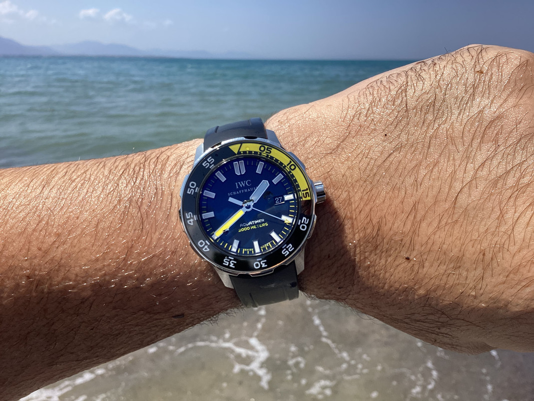 C655533F-8070-44A5-B3AF-1AFF521CCA47