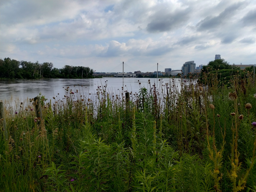 IMG_20240628_183125997_HDR