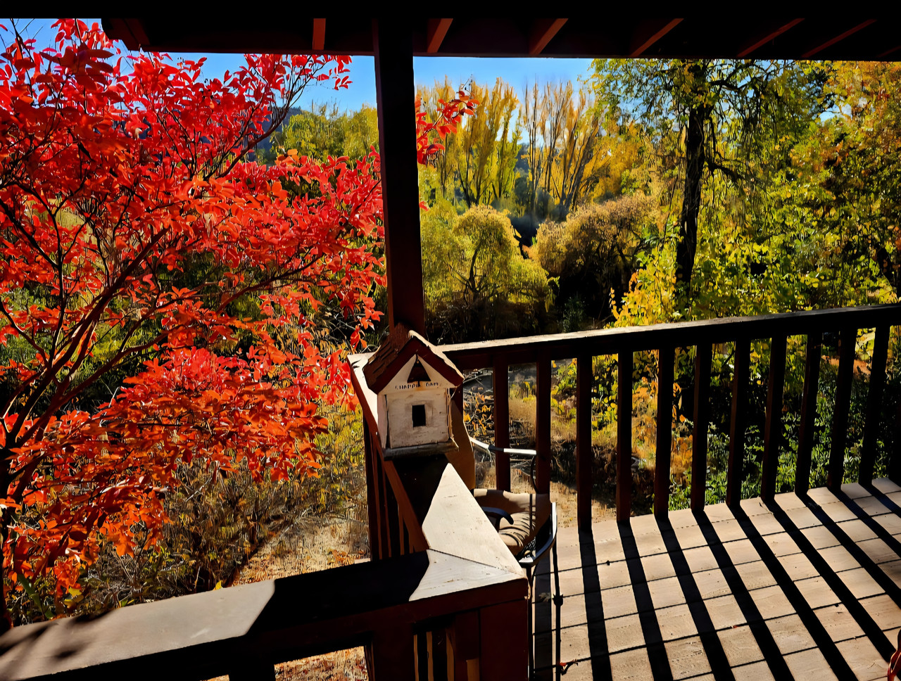 Screenshot 20260220 185600 Photos