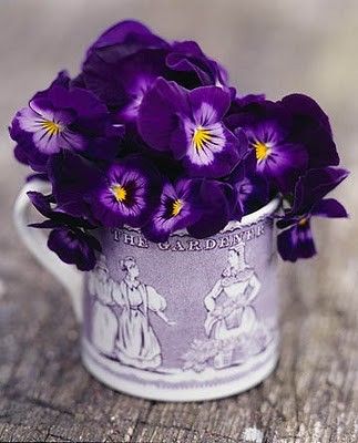 purpleflowerjugsmall.jpg