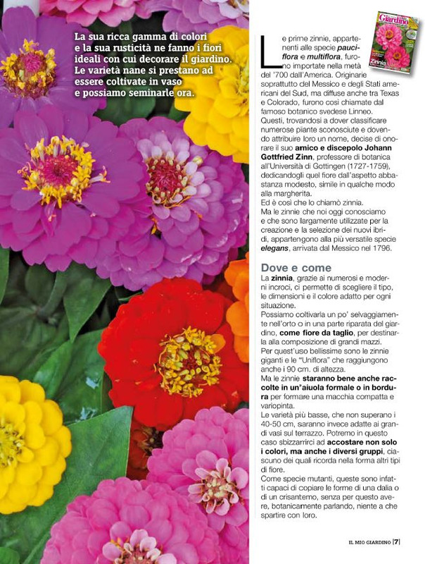 Il Mio Giar Mag-Giu 2020 (2)