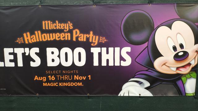 El secreto mejor guardado. Walt Disney World - Orlando octubre 2019 - Blogs de USA - Typhoon Lagoon y MNSSHP (17)