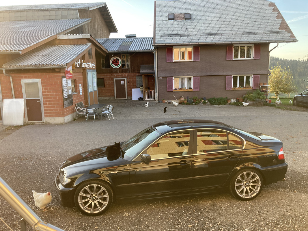 A03CE124-392D-405C-9678-916669D8F0CE