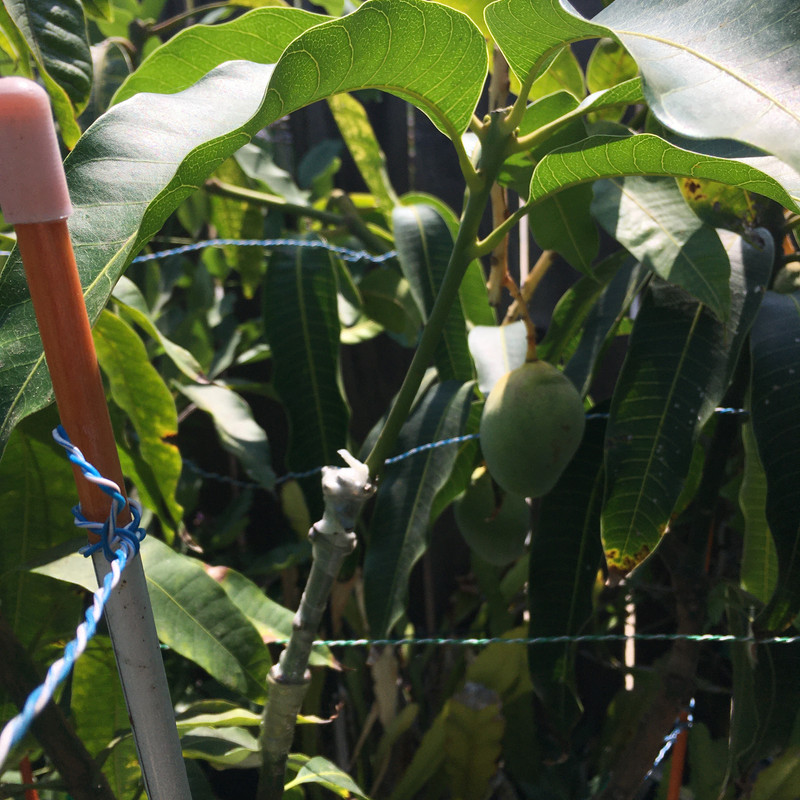 3D25EAE0-BCAA-46E4-A7C3-5AB2CB1743A0