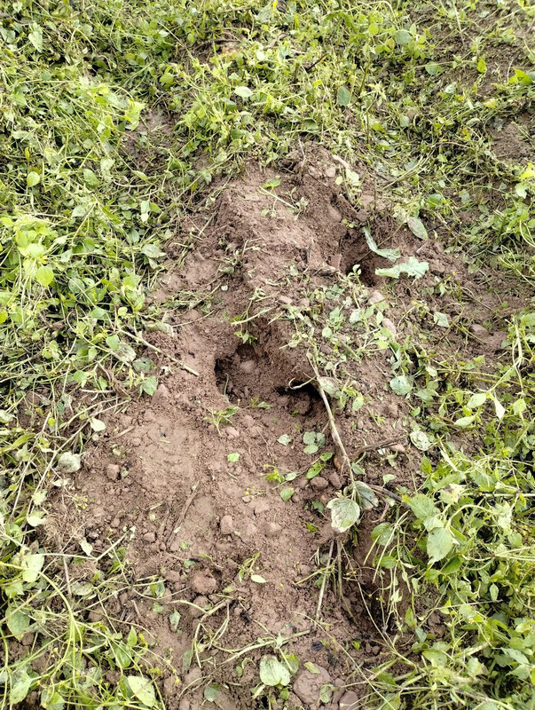 IMG_20251015_135231723