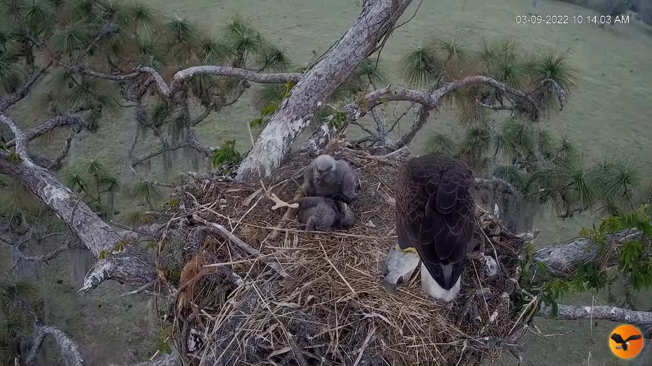 EC 4K Overhead Cam 13-36-39 screenshot