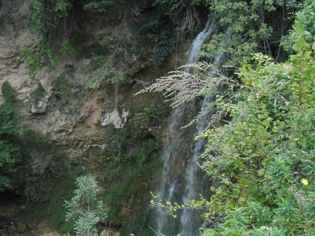 Slika