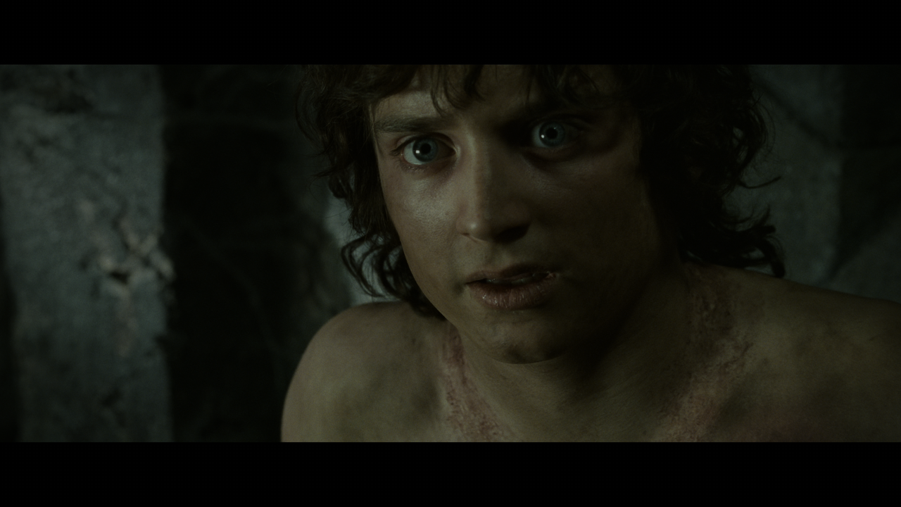 The Lord of the Rings- The Return of the King (EXT.) PT. 2.mkv_snapshot_00.54.42_[2020.12.19_21.48.4