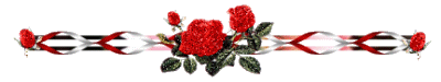 49949007-7e107bb0b501