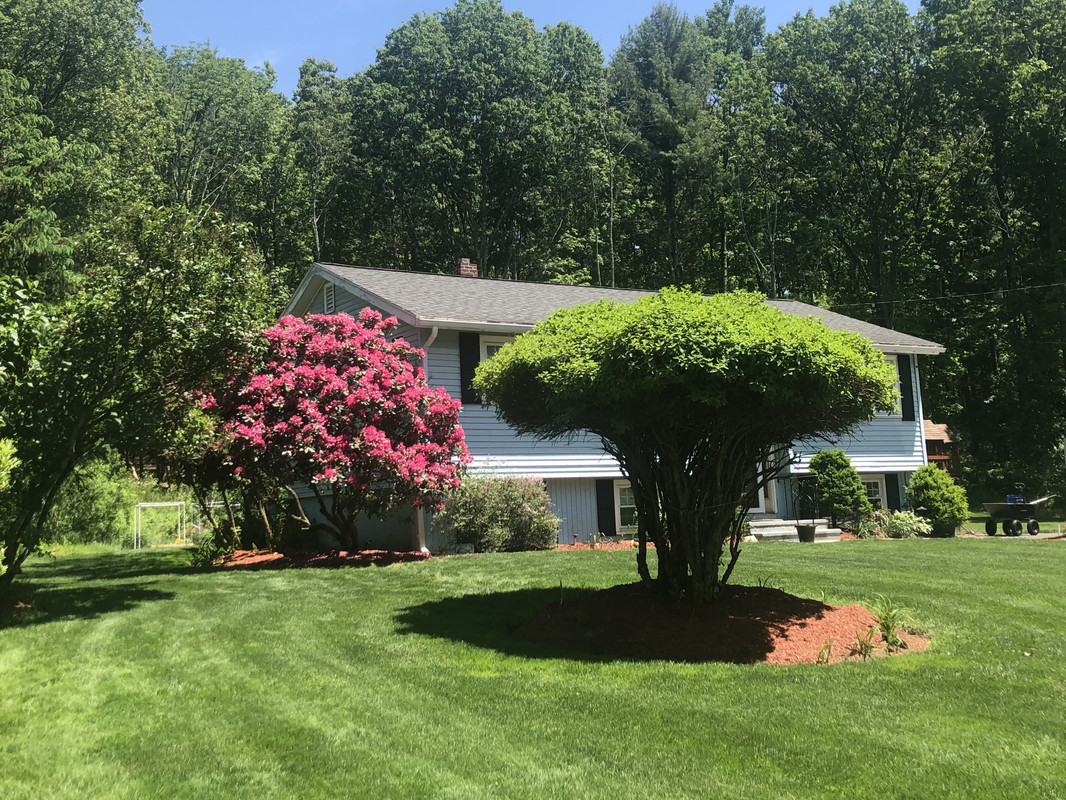 55AD6018-41DD-400F-84A6-01779820DA87