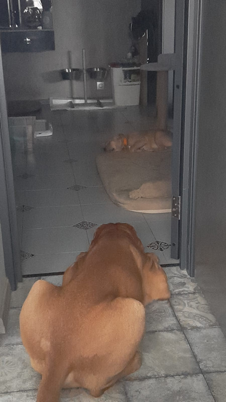 B892B431-09A2-4D2F-B92E-4AF08455F999