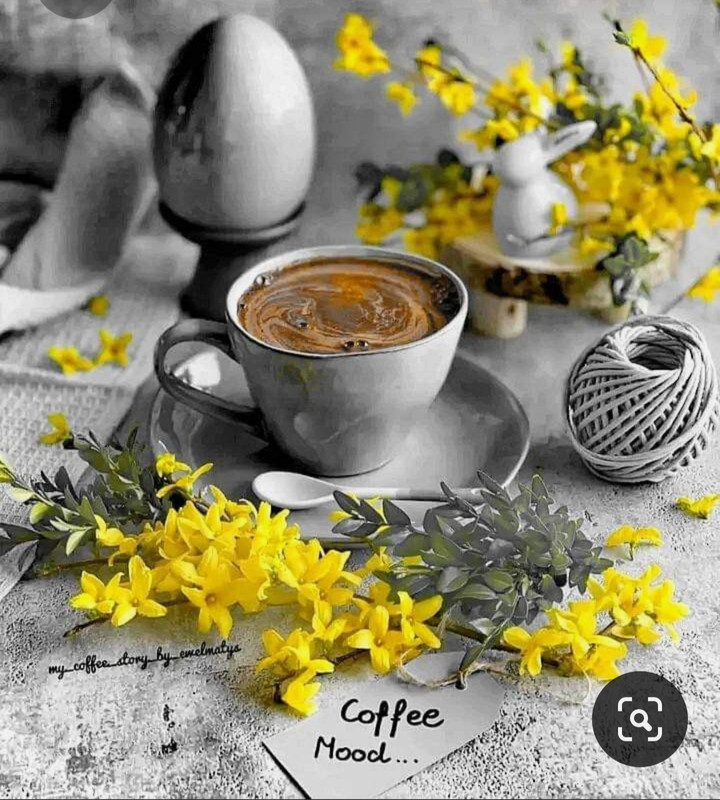 Screenshot_20230415_230521_Pinterest