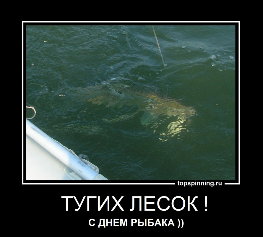 С Днем Рыбака! джиг спиннинг судак щука мастер-класс Куляпин Андрей обучение рыбалка троллинг ловля 