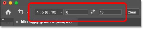 crop-tool-previous-settings