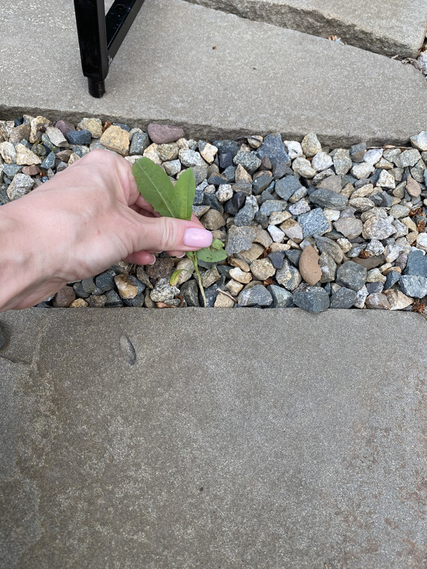 982618E0-F1FE-42AF-BAF2-DBC576A9FD41