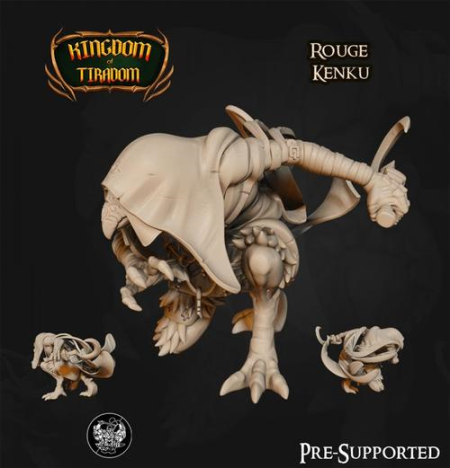 Kenku Rogue – 3D Print Model