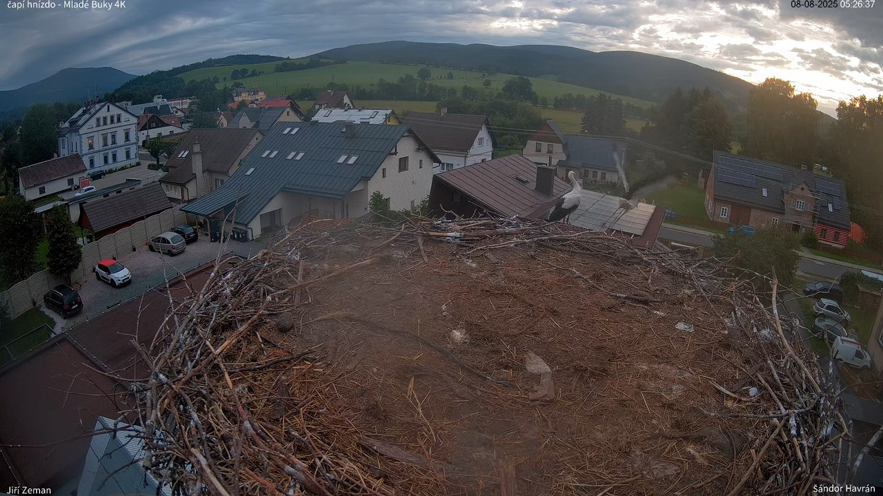 Tiešraides kamera — Mladé Buky — stārķa ligzda 4K 12-28-38 screenshot