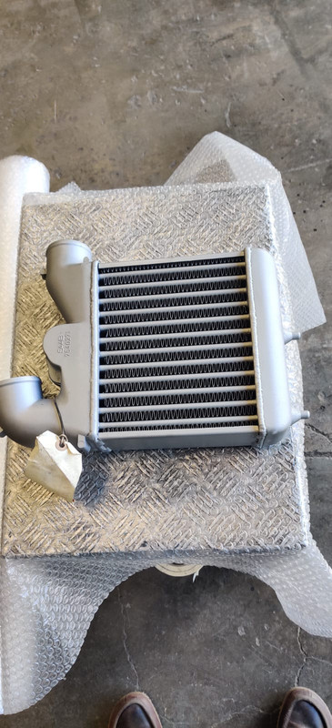 WhatsApp Image 2025-01-02 at 11.52.06 (1)