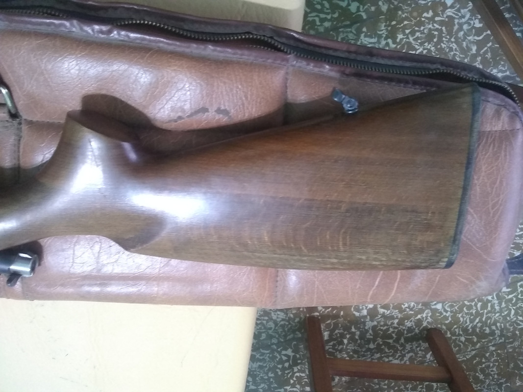 IMG_20190627_124738739