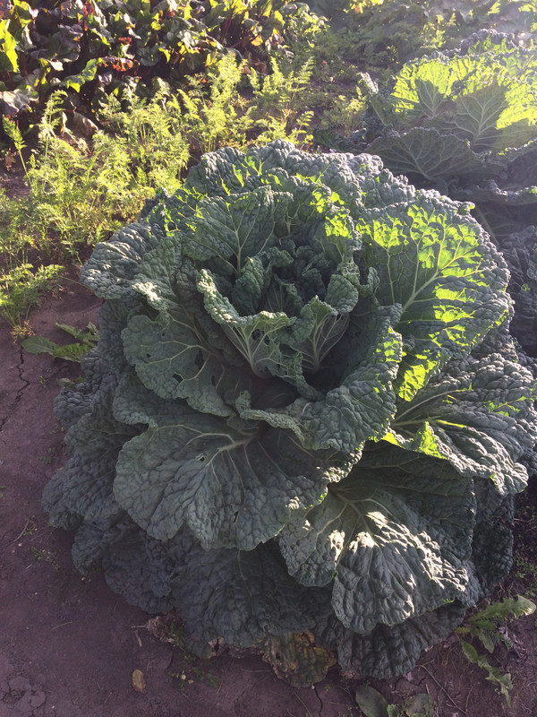 031B41AF-7C96-402C-8D9A-CECFD56FC921