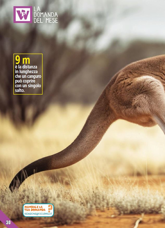 Foc Wil - Mar 2024 (5)