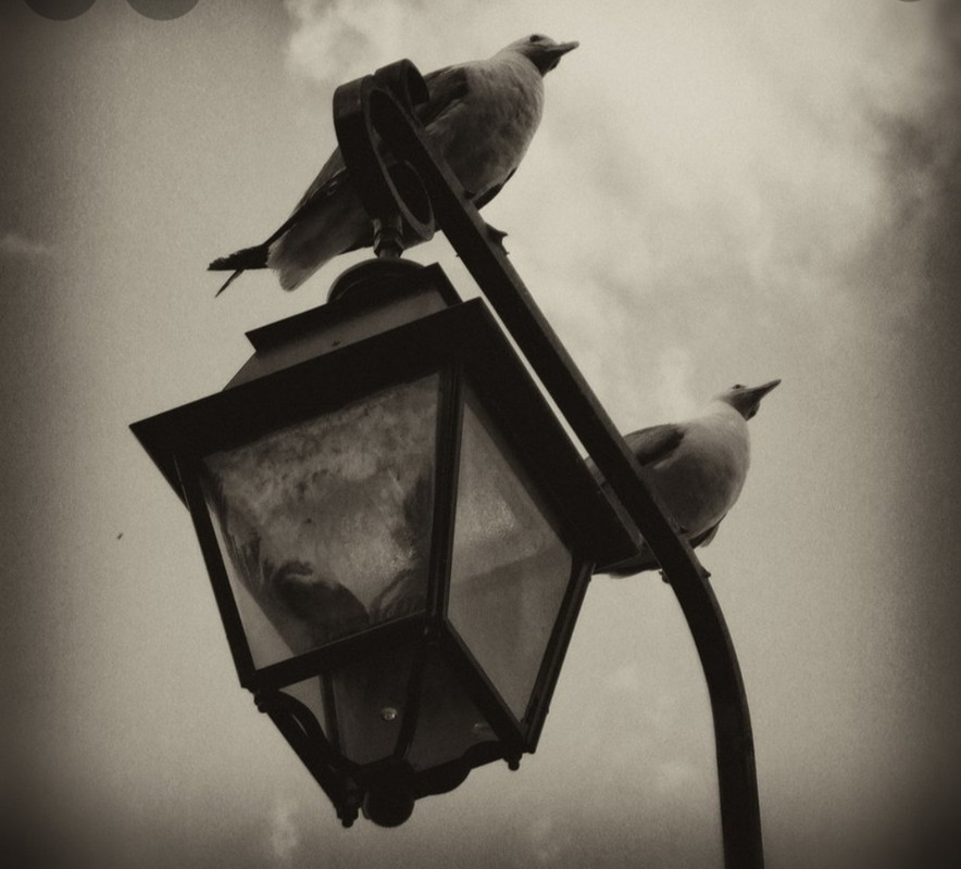 ٢٠٢١٠٦٢٤_٢٣٠٣٣٦