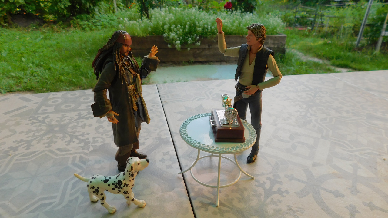 Дачно-Харлинский июнь-июль 2024 110