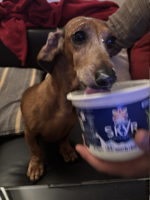 [Image: IMG-3828.jpg]