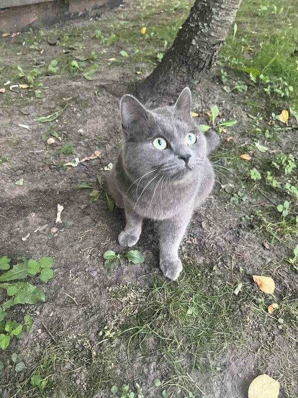 IMG-ee6a14023d485f336ba4af4d45d5bd42-V