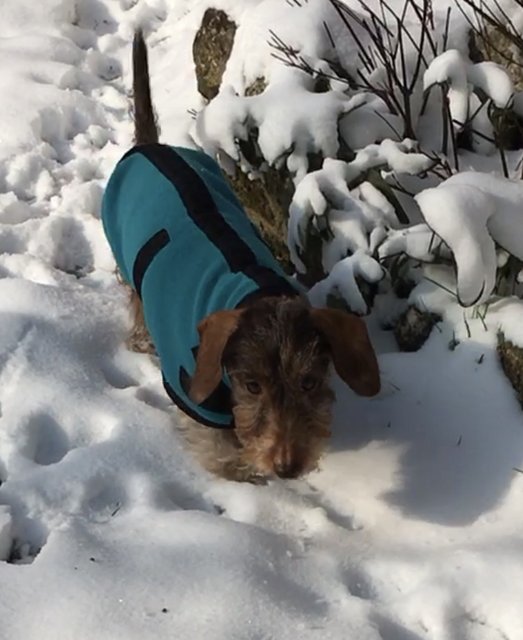 [Image: D202-DF5-F-4-C1-C-4-CDE-B0-CA-BFAB4-CEDAC0-D.jpg]