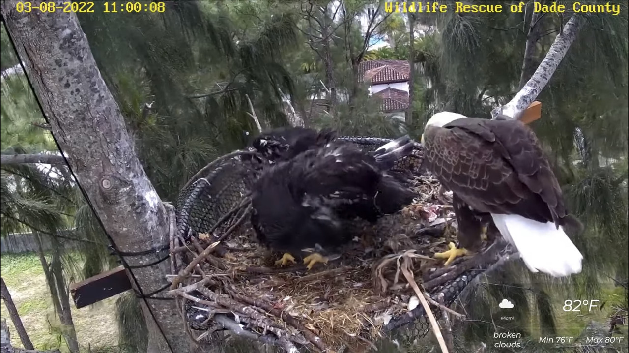 1A936039-D16B-48CD-88AA-9B9A5D273926