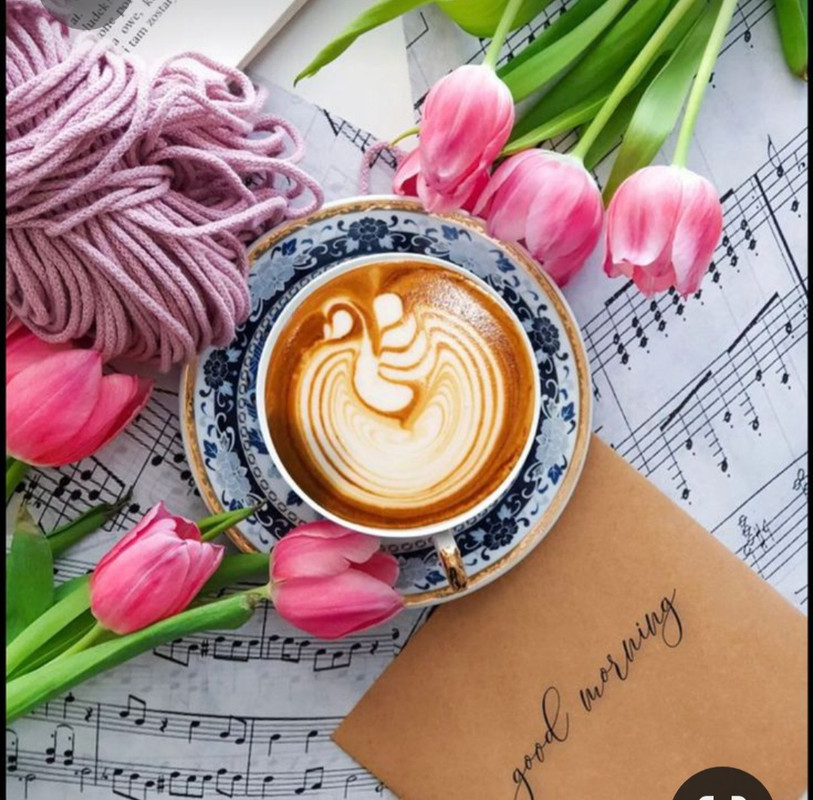 Screenshot_20230517_003219_Pinterest