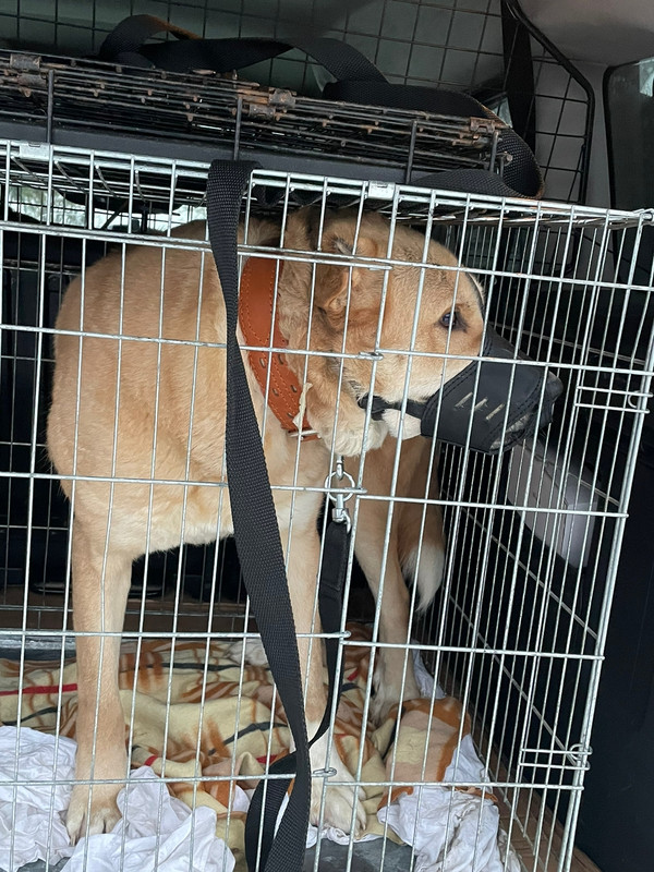 CE68F4CA-B435-4CCB-81F1-438E709B732D