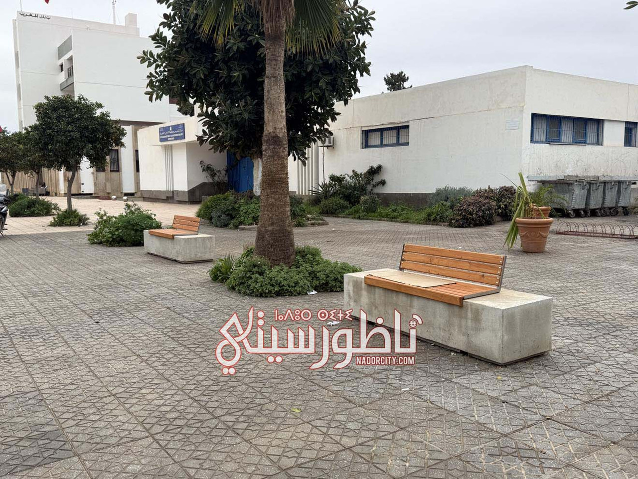 622611406-899473889158530-1141650958276857260-n