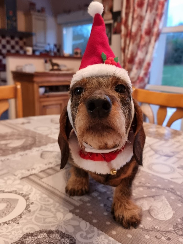 [Image: 321326919-6176483022364530-475044902182246923-n.jpg]