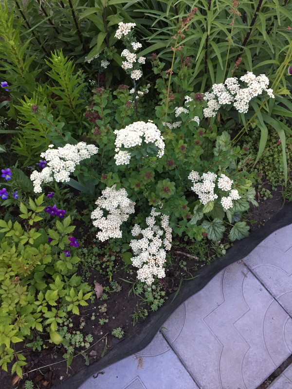 0C514B63-5361-4AB7-B2C3-747DA30E18F6