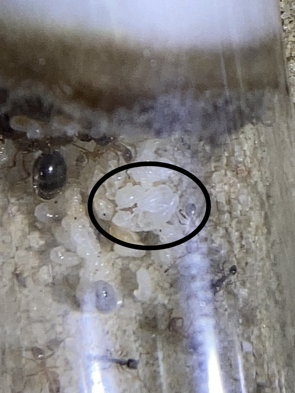 13BA08BD-E1FF-4BAC-A77A-0903FB9A16BE