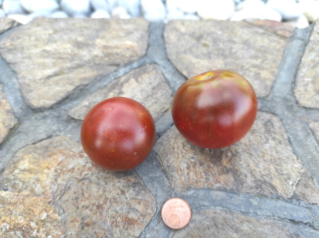 541753101_24470421975910171_1659595086841022274_n