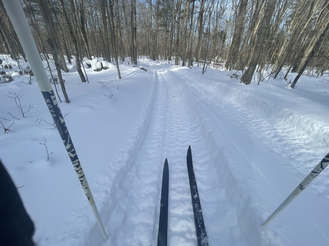 73082215-39CE-40EB-B571-ACB0143D79C9