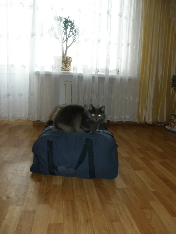 image-1.jpg