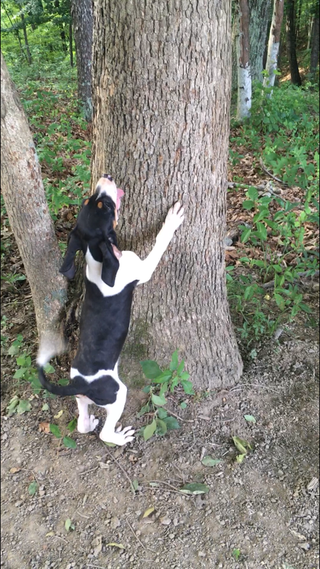 380068FA-8A2D-48E6-8E07-081D61DA99A9