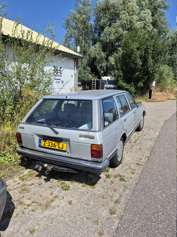 20260804-130758.jpg