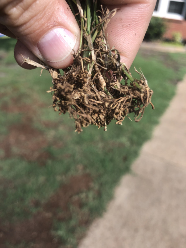 1B7ADDAD-3957-4260-99C8-5A402CBDAA80