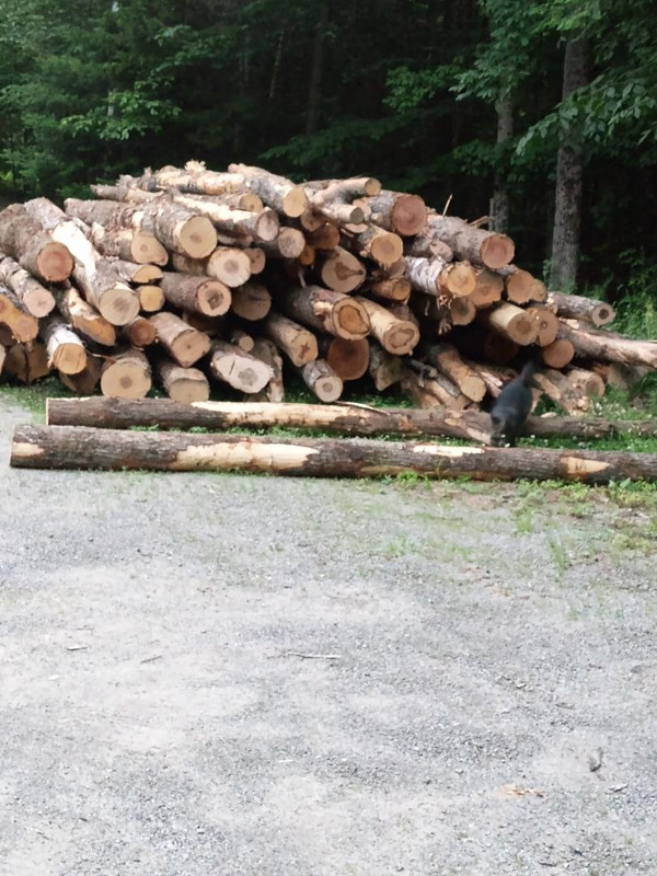 wood