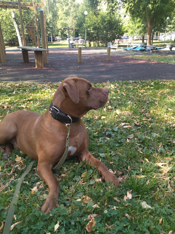 1A20503D-3994-47FB-86F2-495D2DB51078