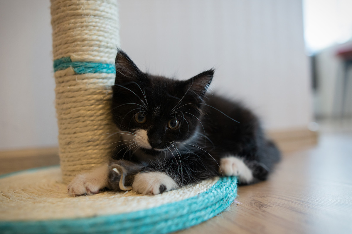 1EC8C830-88F3-473E-A211-1413B70248D7