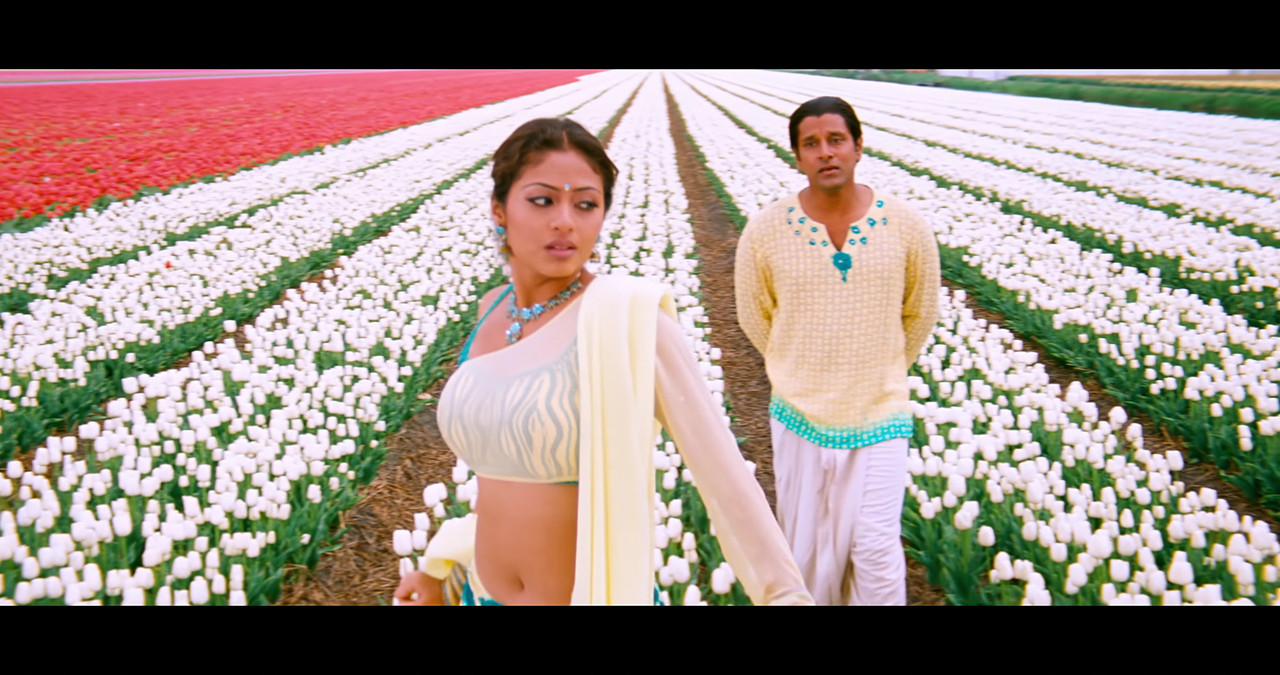 VideoCapture_20241122-195547