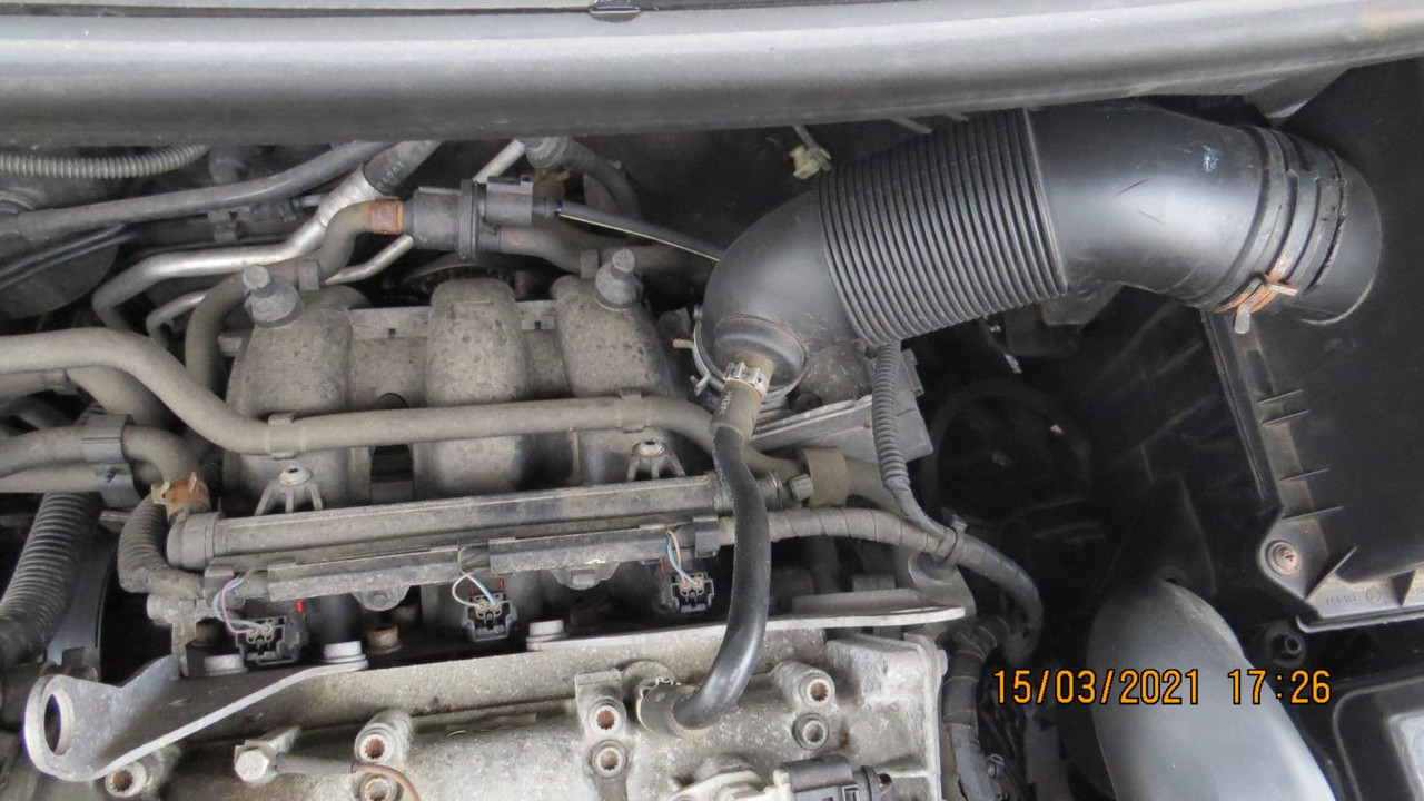 IMG-4125-Medium.jpg