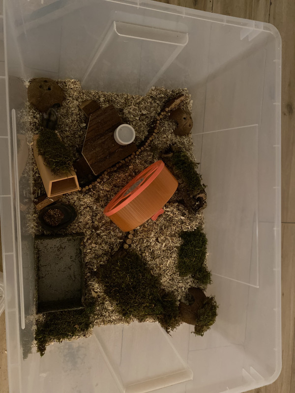 2A7A48E8-94EA-4400-8B66-8DB4B1829A42