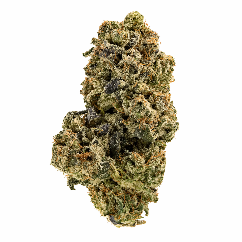 Hibernate strain flower